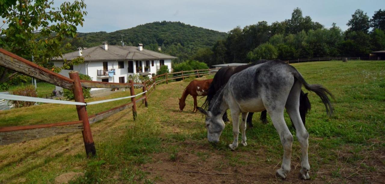 Favetto Family Ranch Bed & Breakfast Rueglio Eksteriør bilde