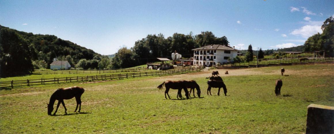 Favetto Family Ranch Bed & Breakfast Rueglio Eksteriør bilde