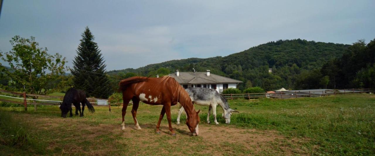 Favetto Family Ranch Bed & Breakfast Rueglio Eksteriør bilde